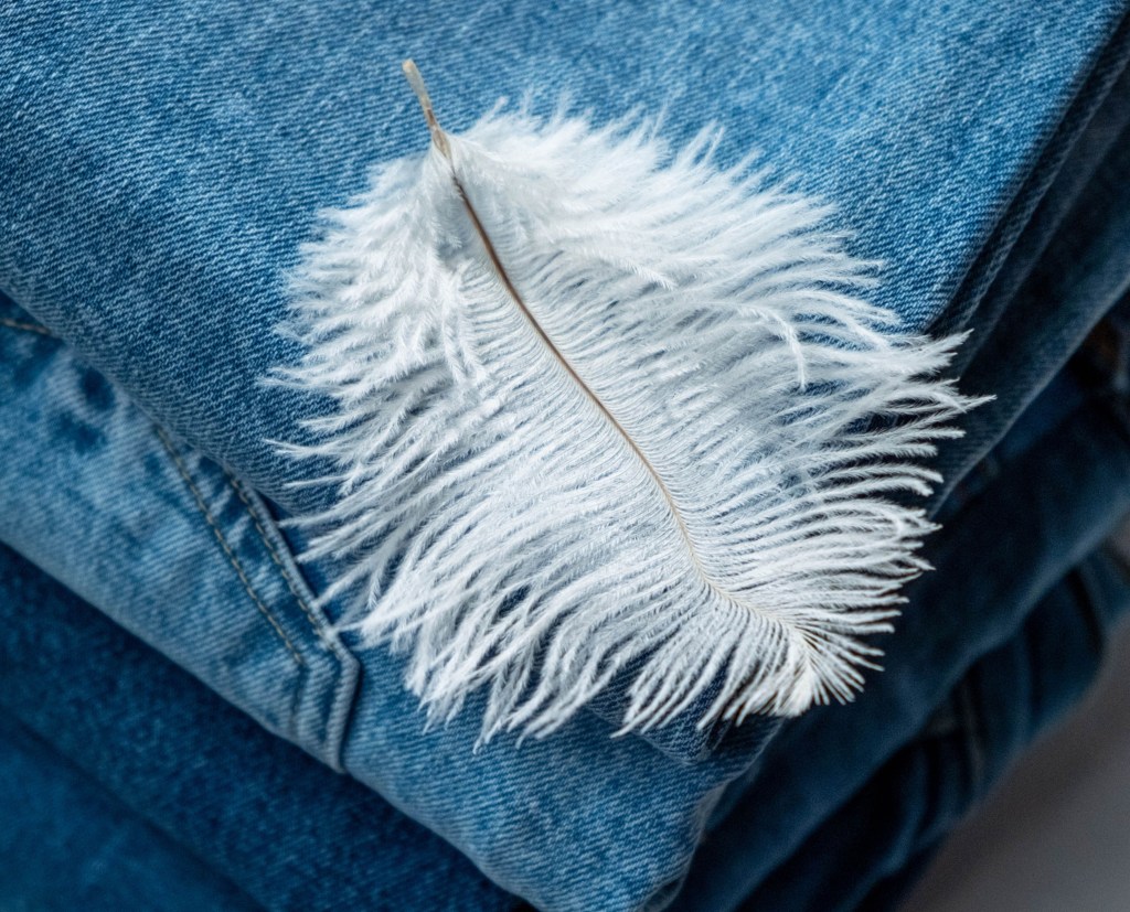 Pistola Demin rolls out Inspectorio to enhance garment quality across its global supply chain